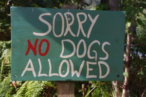 Sorry no dogs allowed. Registered guide dogs are welcome.